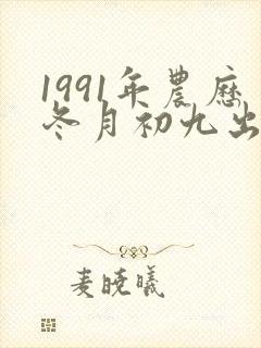 1991年农历冬月初九出生命运如何