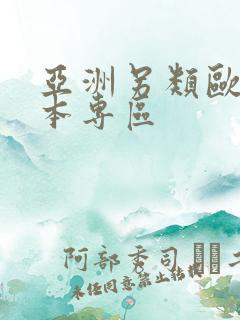 亚洲另类欧美日本专区