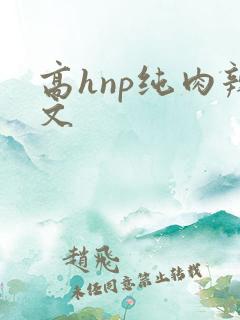 高hnp纯肉辣文
