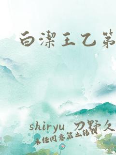 白洁王乙第二部