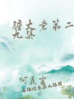 胆大党第二季第九集