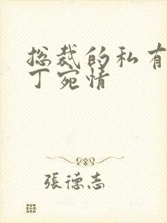总裁的私有宝贝丁宛情
