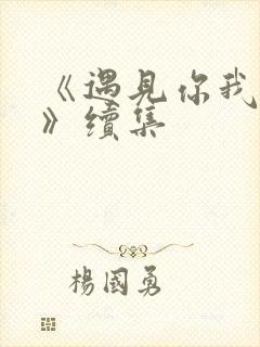 《遇见你我的爱》续集