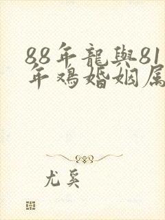 88年龙与81年鸡婚姻属相相配