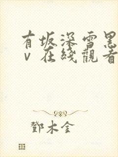 有坂深雪黑人aⅴ在线观看