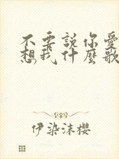 不要说你爱我你想我什么歌