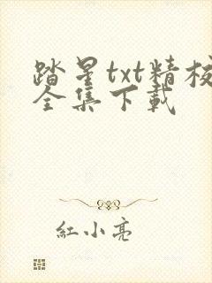 踏星txt精校全集下载