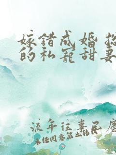嫁错成婚 总裁的私宠甜妻