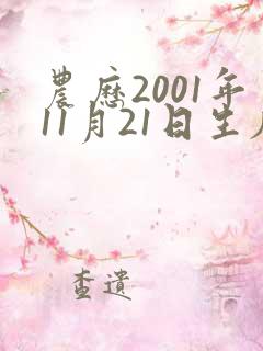 农历2001年11月21日生辰八字