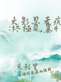火影忍者疾风传:终极风暴4