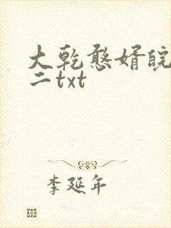 大乾憨婿皖南牛二txt
