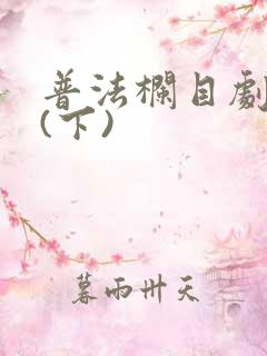 普法栏目剧代价(下)