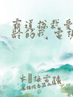 霸道总裁爱上大龄的我 电视剧全集免费观看