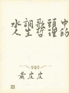水调歌头中富含人生哲理的句子是