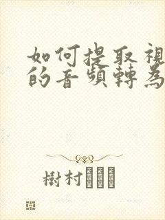 如何提取视频中的音频转为mp3
