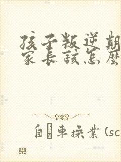 孩子叛逆期顶嘴家长该怎么做