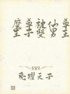 魔尊被仙尊囚禁生子双男主