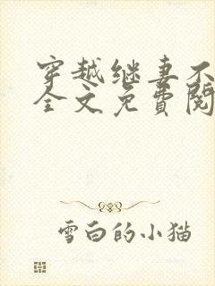 穿越继妻不好当全文免费阅读