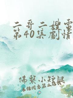 二哥二嫂电视剧第40集剧情