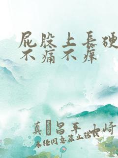 屁股上长硬疙瘩不痛不痒