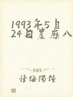 1993年5月24日农历八字
