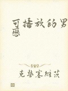 可播放的男同性恋