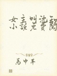 女主叫沈知薇的小说免费阅读