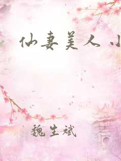 仙妻美人 小说