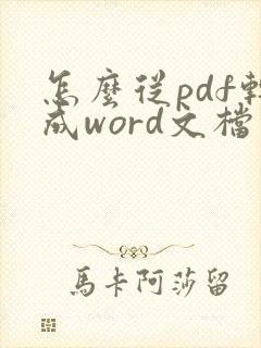 怎么从pdf转成word文档