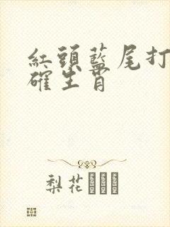 红头蓝尾打一正确生肖