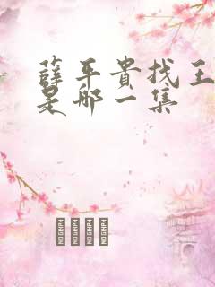 薛平贵找王宝钏是哪一集