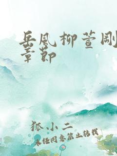 岳风柳萱刚全部章节
