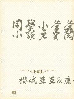 同学小爸爸李凯小说免费阅读全文