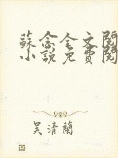 苏念全文阅读 小说免费阅读