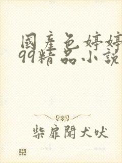 国产色婷婷亚洲99精品小说