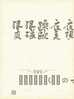 狠狠躁夜夜躁人爽碰欧美视频