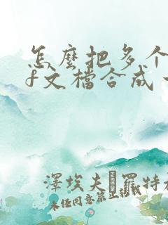 怎么把多个pdf文档合成一个