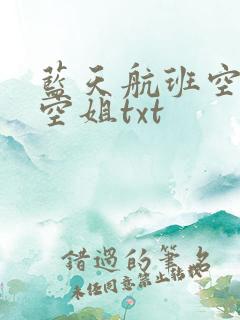 蓝天航班空公司空姐txt