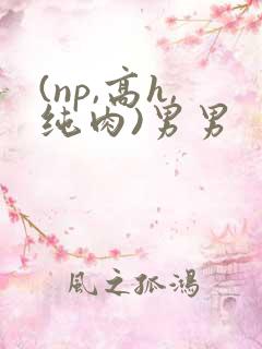 (np,高h,纯肉)男男