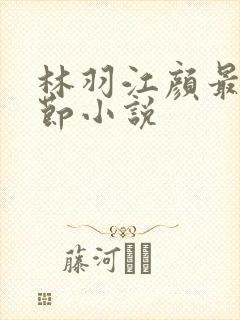 林羽江颜最新章节小说
