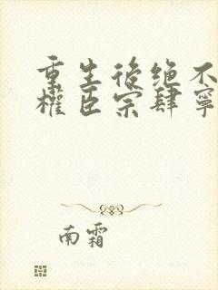 重生后绝不嫁给权臣宗肆宁芙全文