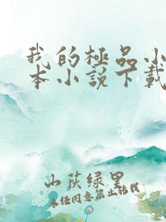 我的极品小姨全本小说下载