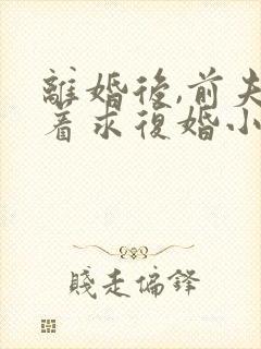 离婚后,前夫哭着求复婚小说免费阅读原文