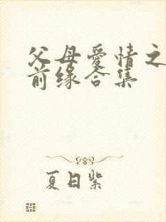 父母爱情之再续前缘合集
