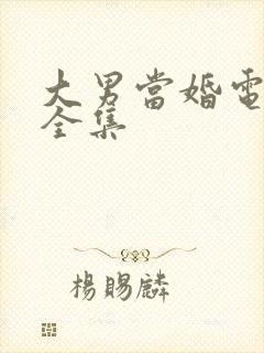 大男当婚电视剧全集