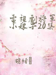 电视剧将军家的小娘子20集至40集