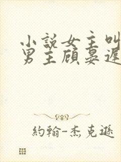 小说女主叫盛夏男主顾晏迟