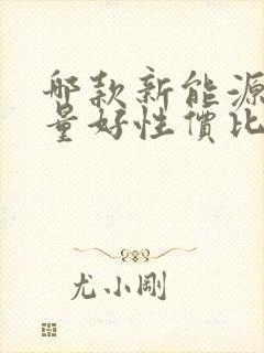 哪款新能源车质量好性价比高