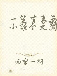 一笙有喜无删减小说全文阅读