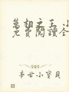 万相之王 小说免费阅读全部章节